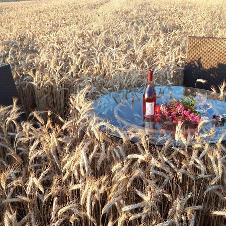 Ein Bett Im Kornfeld - Haus Morgensonne - Mit Innenpool Schonfeld (Mecklenburgische Seenplatte) Exterior foto