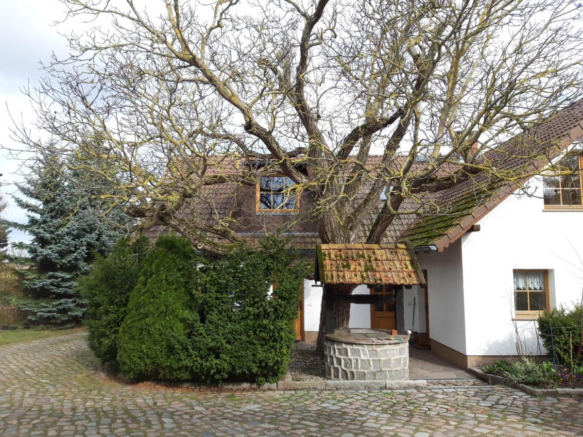 Ein Bett Im Kornfeld - Haus Morgensonne - Mit Innenpool Schonfeld (Mecklenburgische Seenplatte) Exterior foto