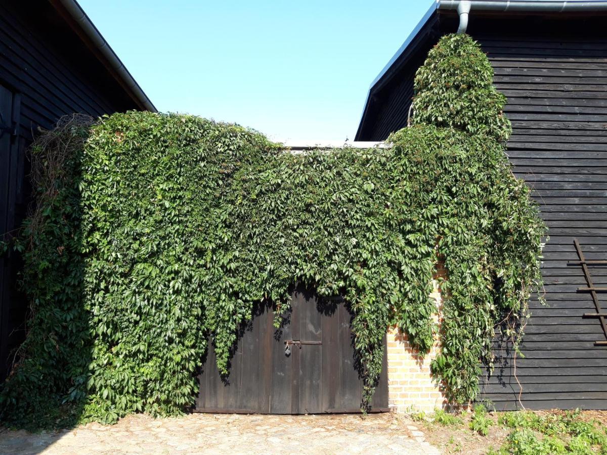 Ein Bett Im Kornfeld - Haus Morgensonne - Mit Innenpool Schonfeld (Mecklenburgische Seenplatte) Exterior foto